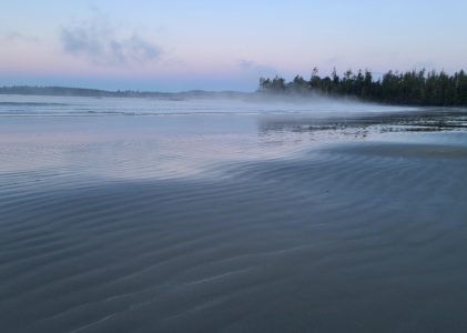 Tideline