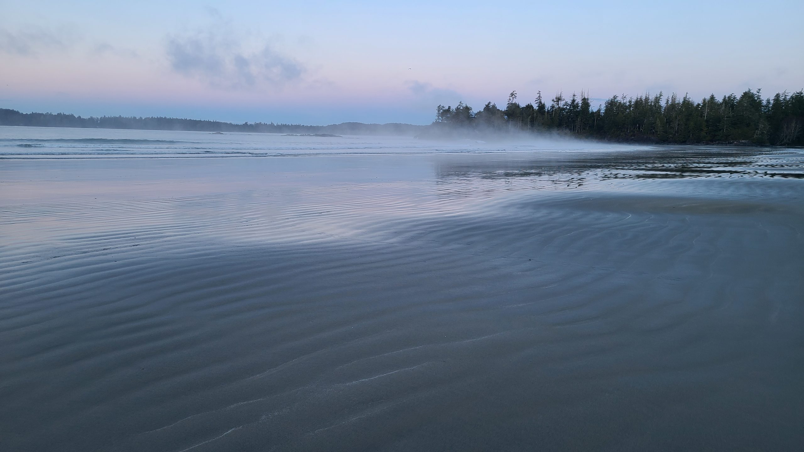 Tideline